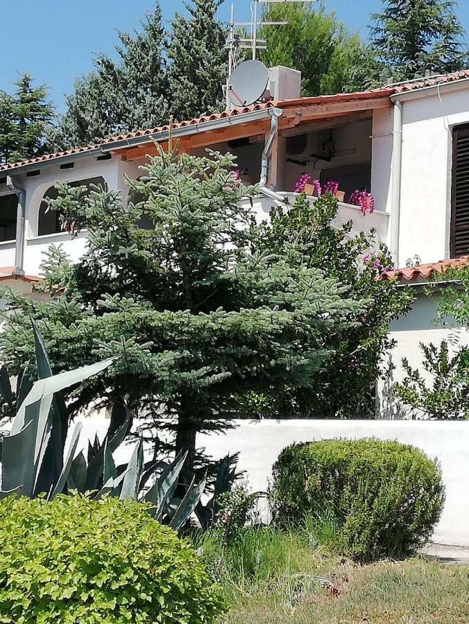 Apartment Enis Barbariga Esterno foto